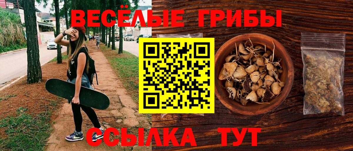 Псилоцибиновые грибы MAGIC MUSHROOMS  хочу наркоту  Сорочинск  Вход с VPN  Галлюциногенные грибы прущие грибы 